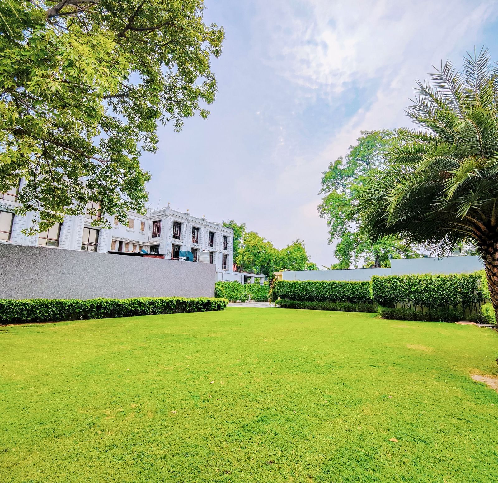 LAWN AREA